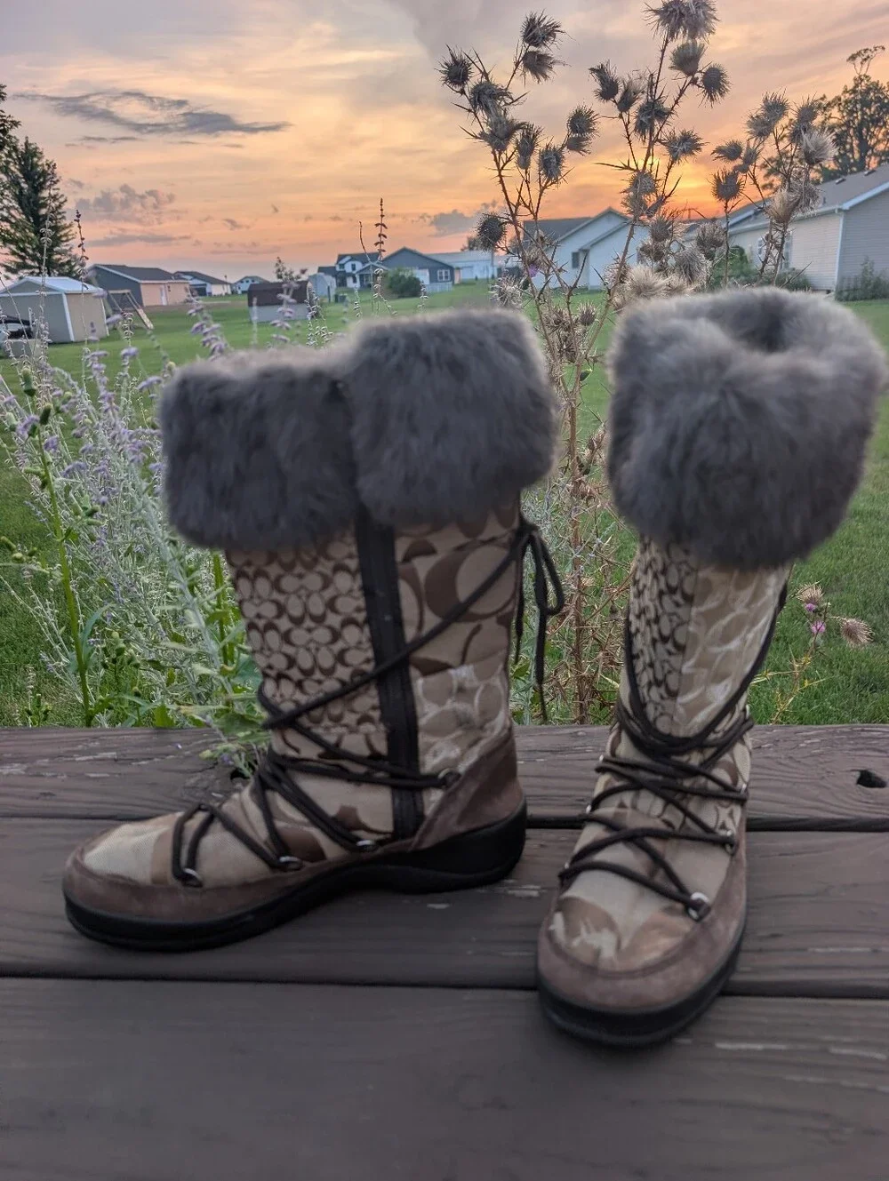 Coach Laurilyn Signature Logo Lace-Up Winter Boots with Gray Shearling Cuffs